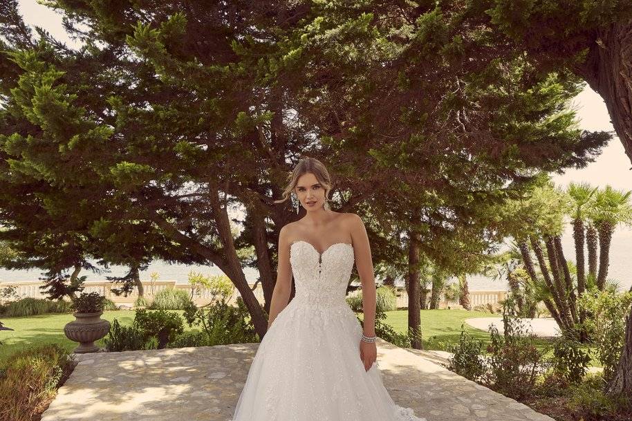 Mori lee