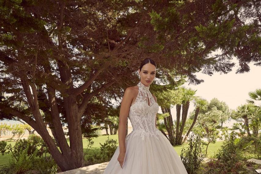 Mori lee