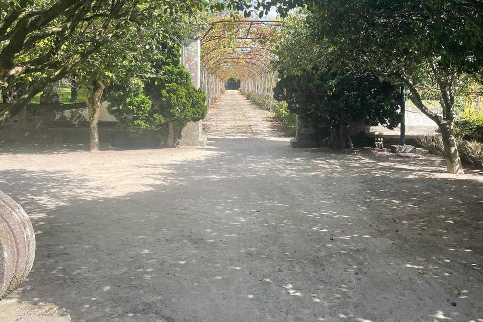Entrada
