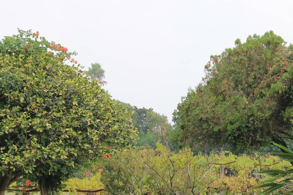 Quinta da ribeira