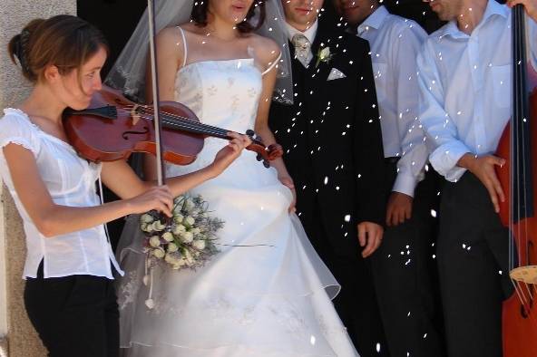 Violodorata Grupo Musical