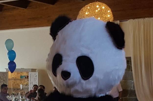Mascote Panda