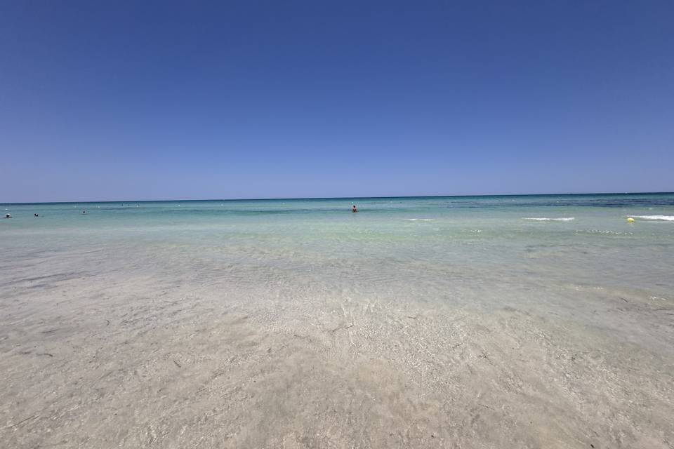 Mar: a combinação perfeita