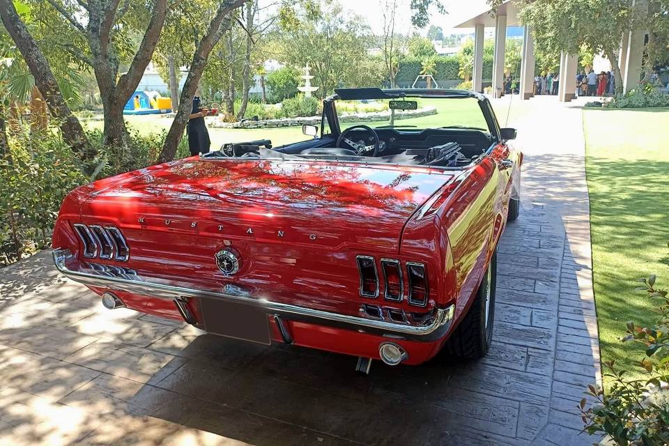 Ford Mustang 67