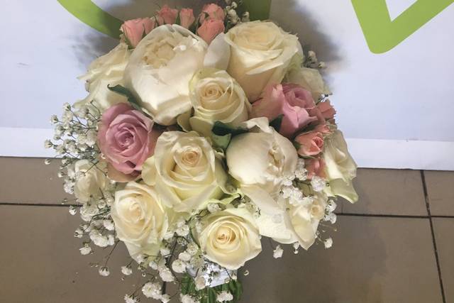 Florista Roseira Brava