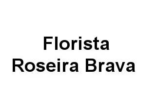 Florista Roseira Brava