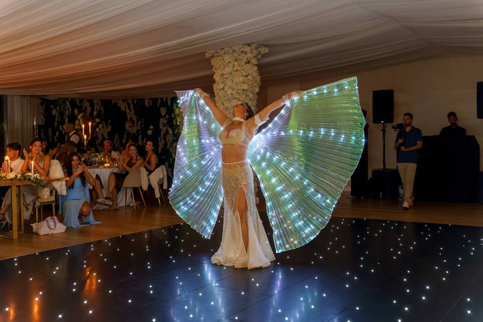 Asas com leds