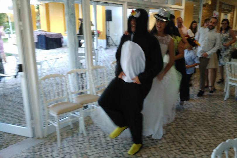 PPanimações - Dança Pinguim
