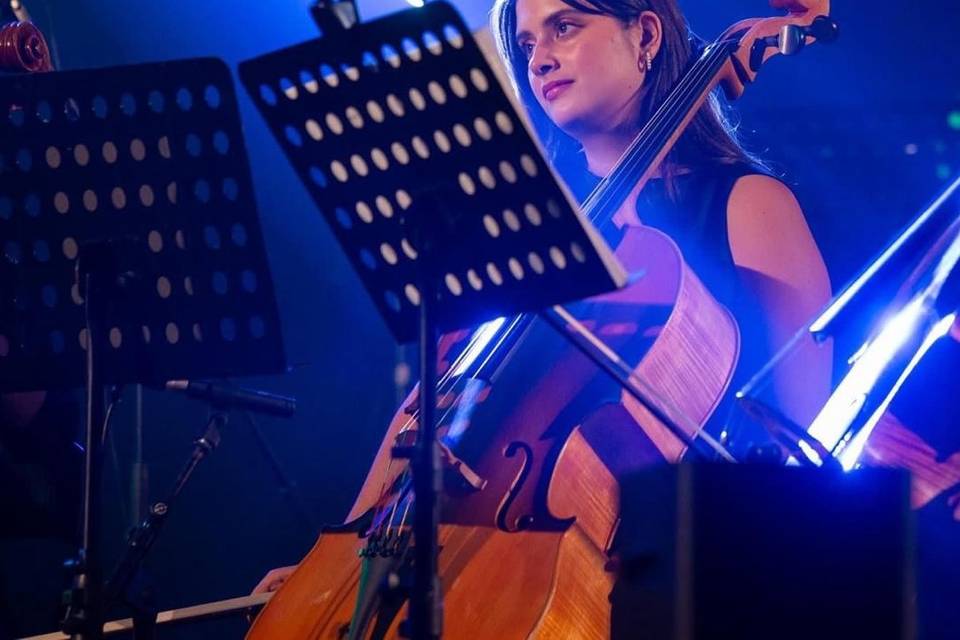 Violoncelista - Concerto