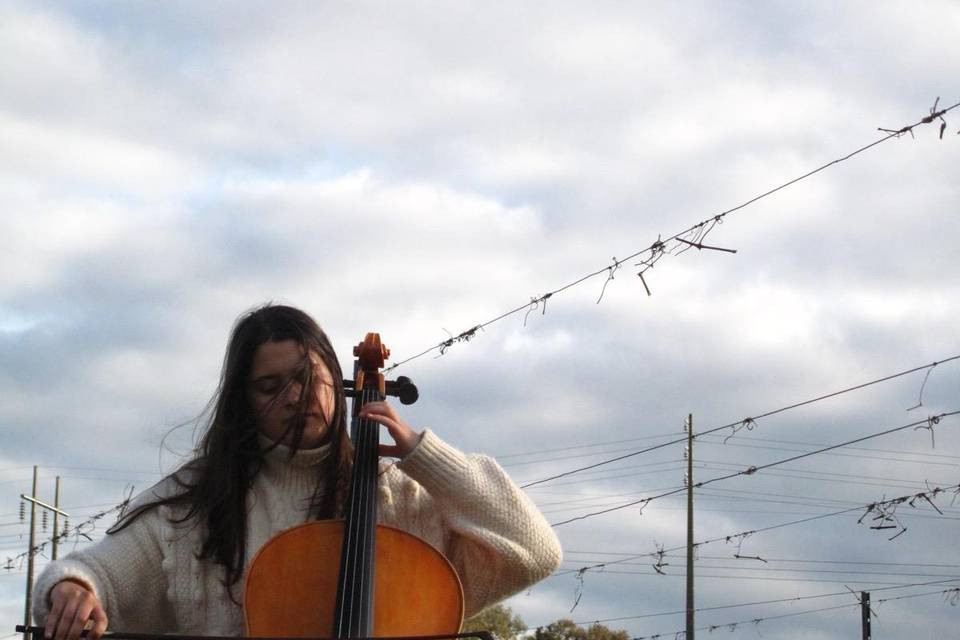 Violoncelista