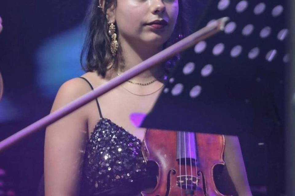 Violinista - Concerto