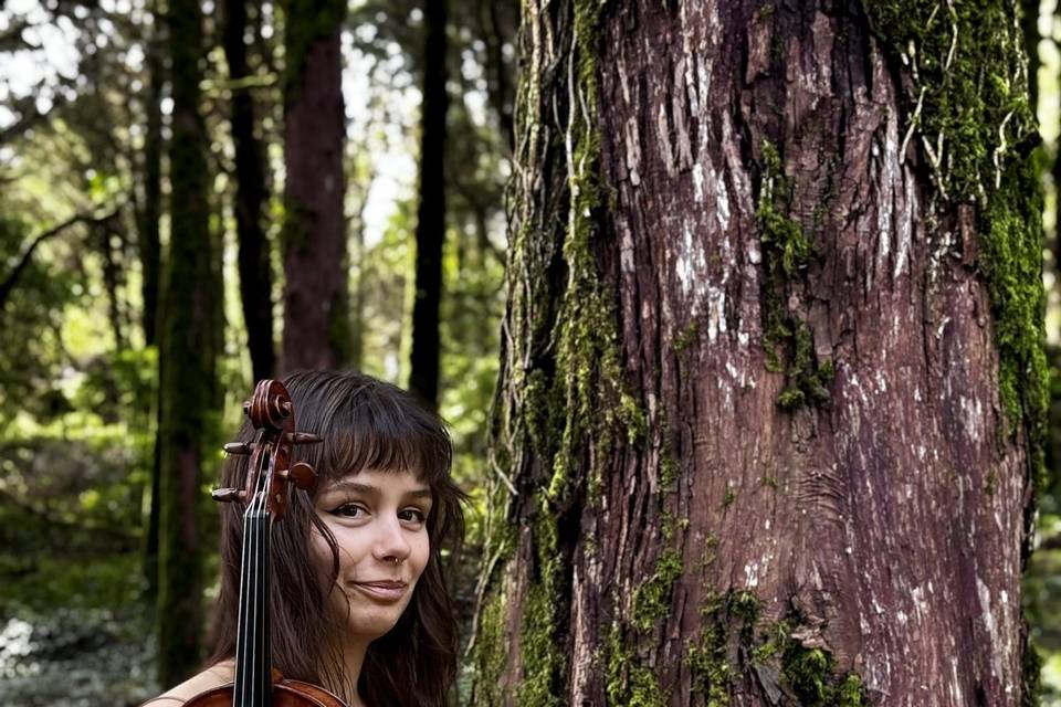 Violinista