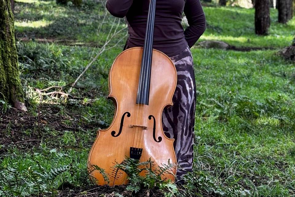 Violoncelista