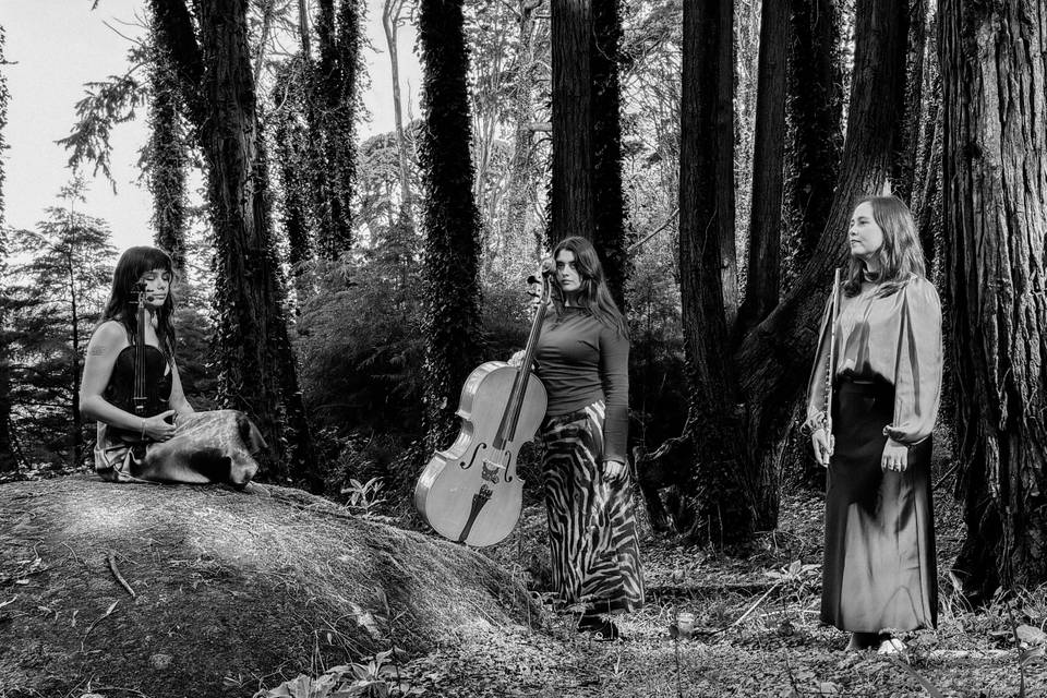 Echos of Cinema Trio