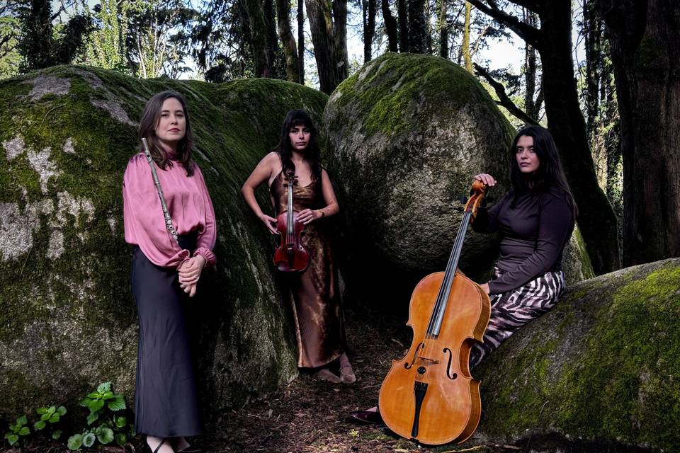 O grupo
