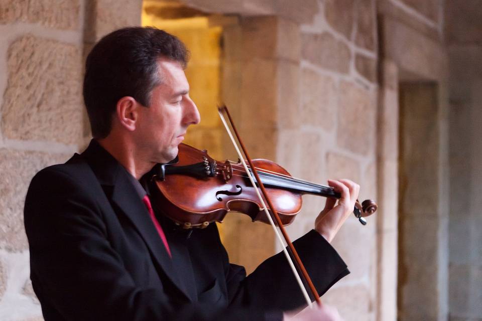 Roman Violin Project
