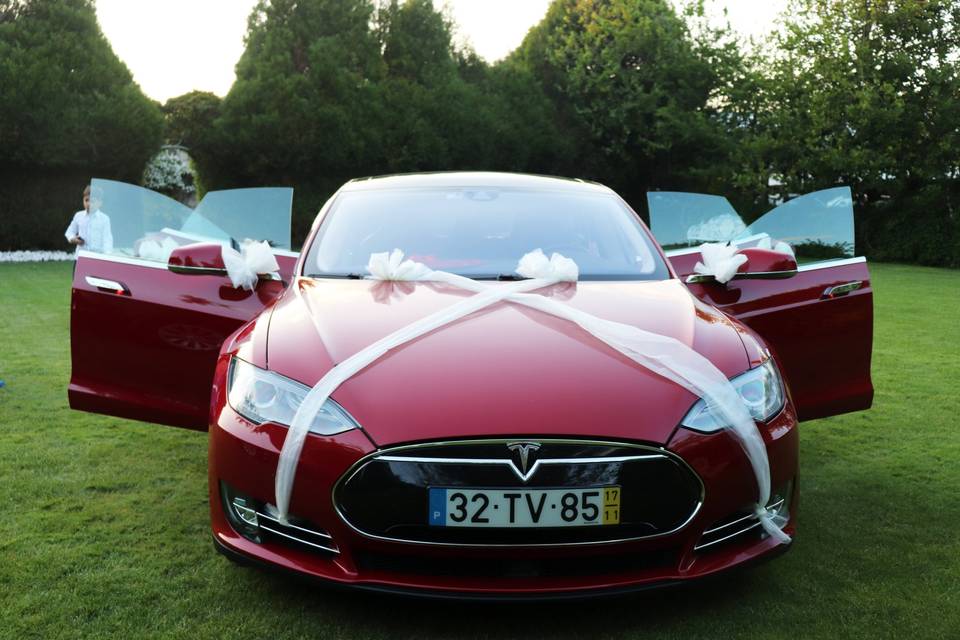 Model S