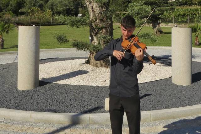 VIOLINO