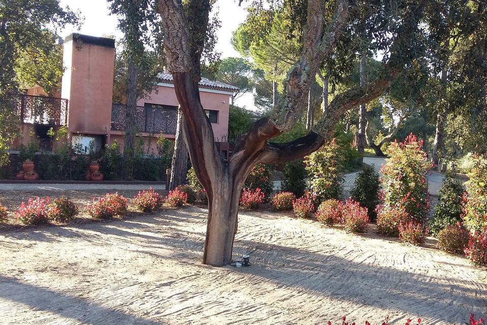 Alentejo
