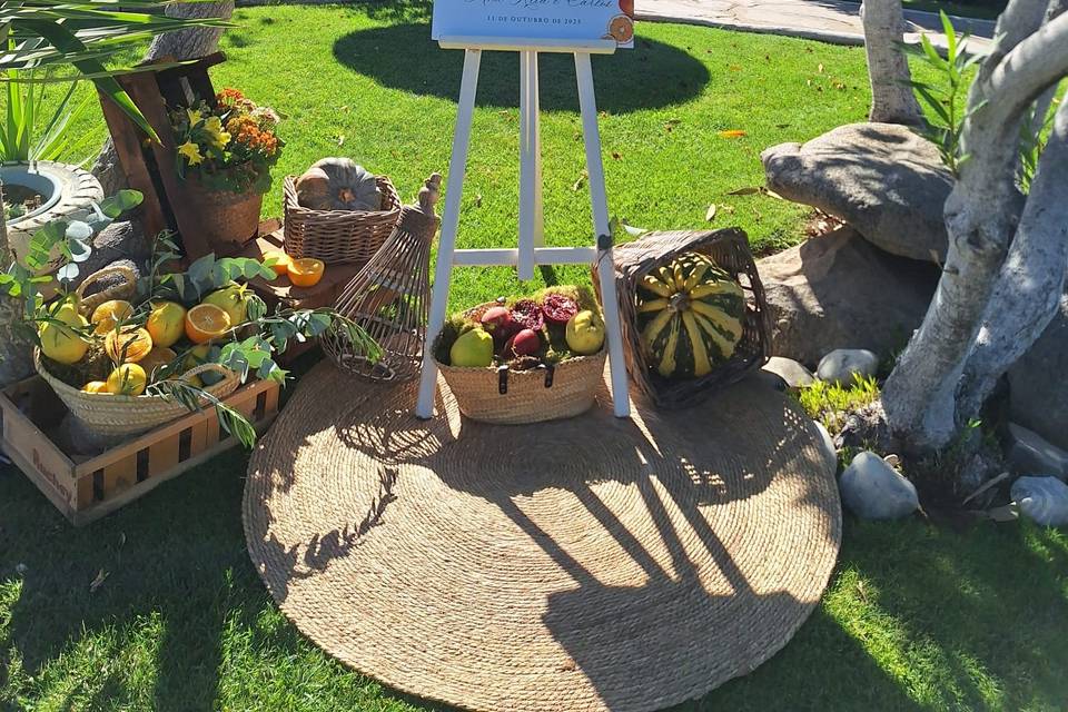 Decoração de Jardim