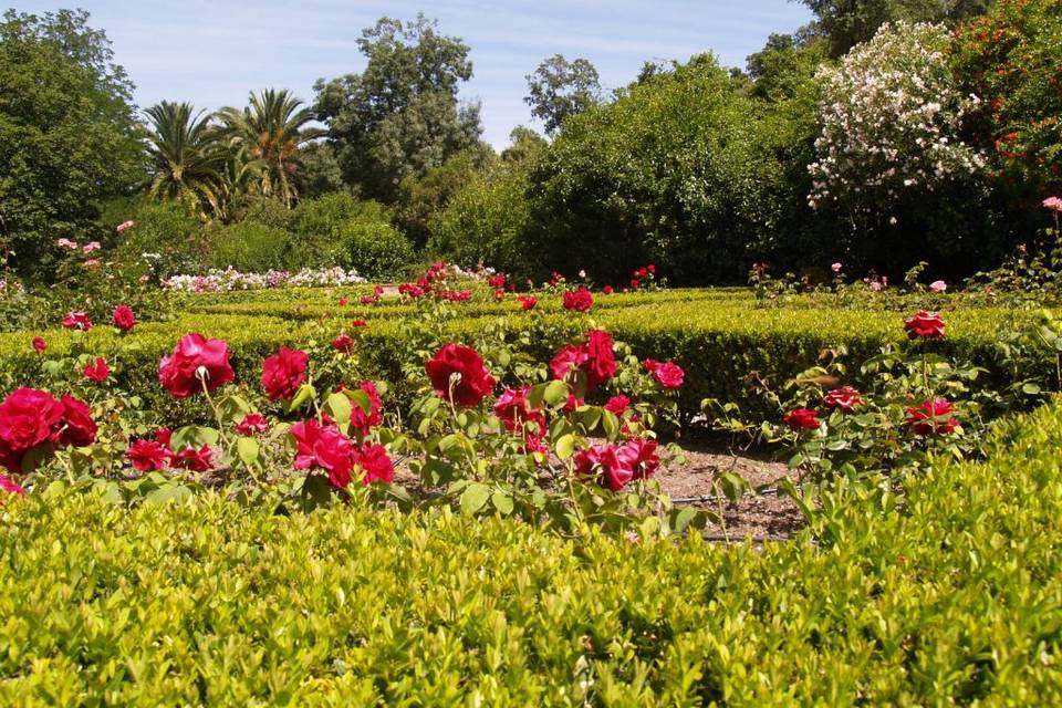 Quinta Gaio-de-Cima