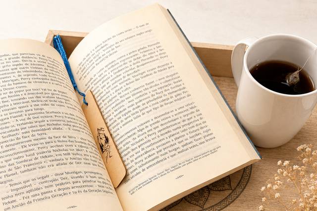 Marcadores de livros