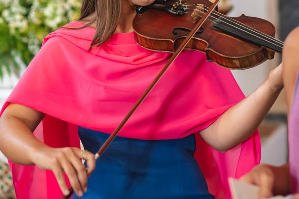 Violino, em Coimbra