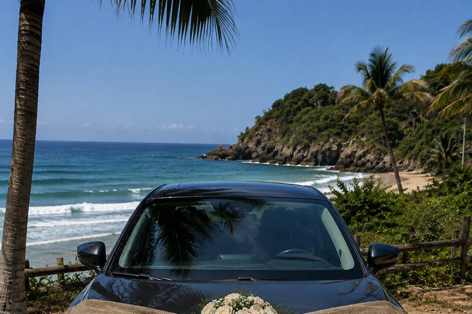 Carro de moivos