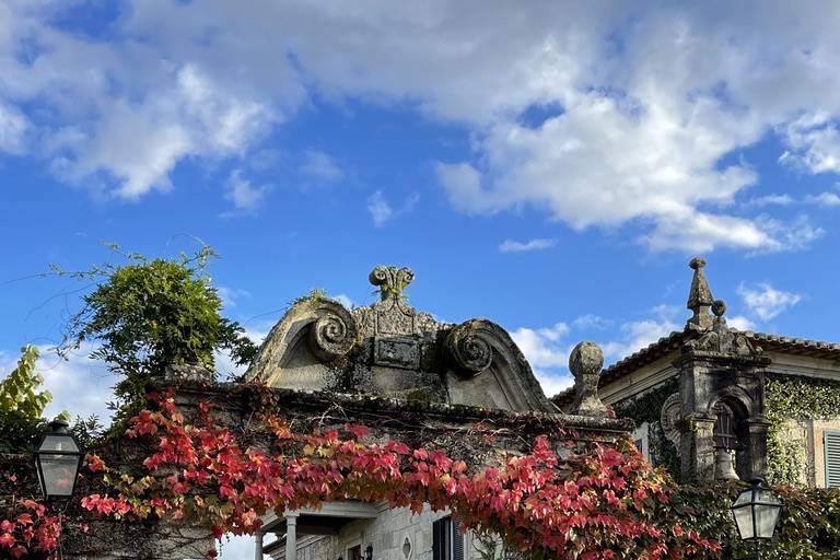 Quinta do Soito - Mangualde