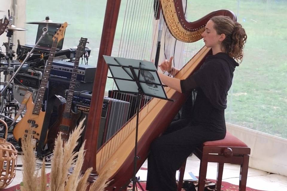 Arpa em entrada de noivos