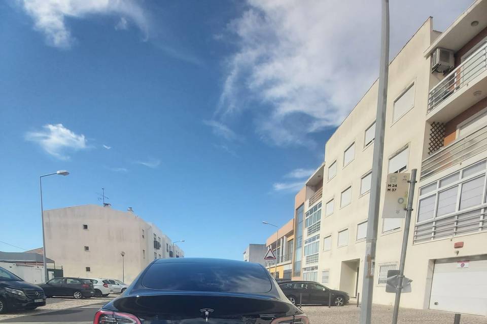 Tesla model y trás