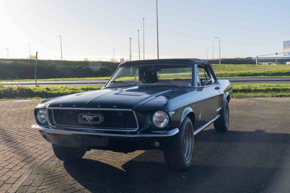 Ford Mustang Cabriolet V8