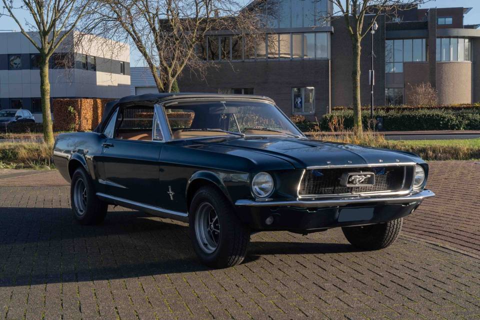Ford Mustang Cabriolet V8