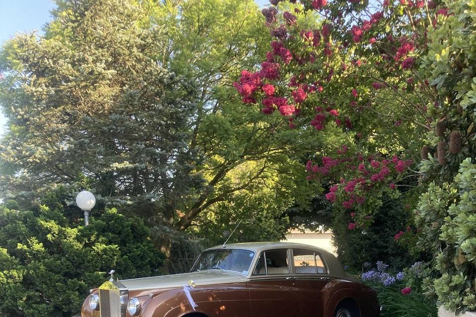 Rolls Royce