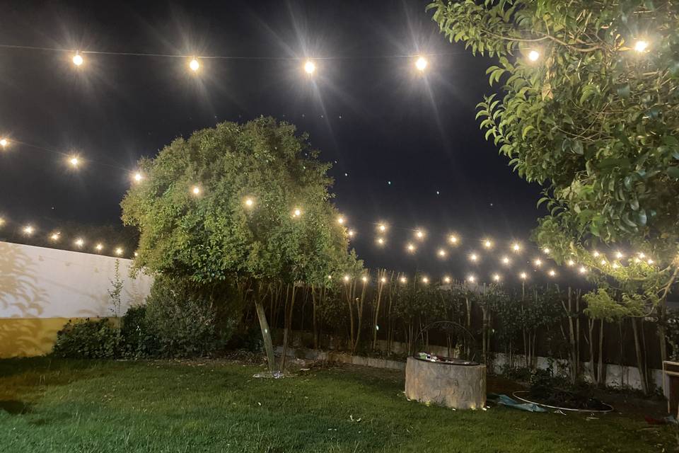 Jardim traseiro noite