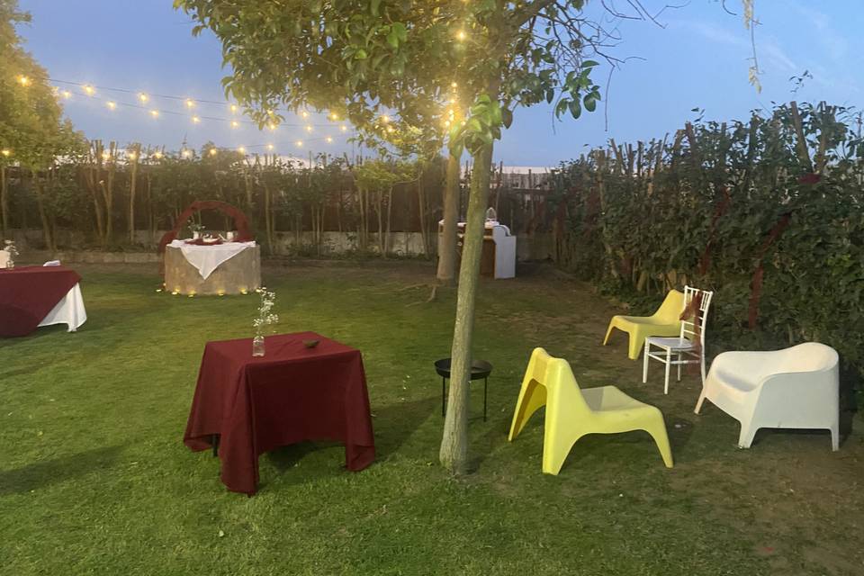 Jardim traseiro noite