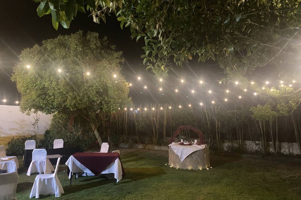 Jardim traseiro noite