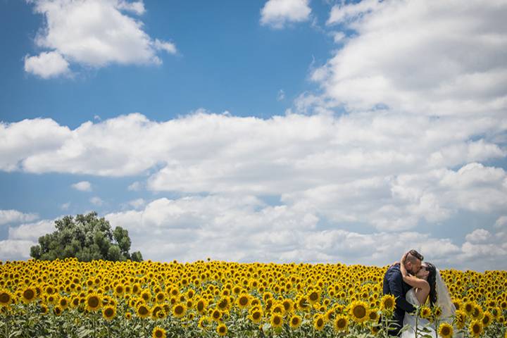 Sessão trash the dress