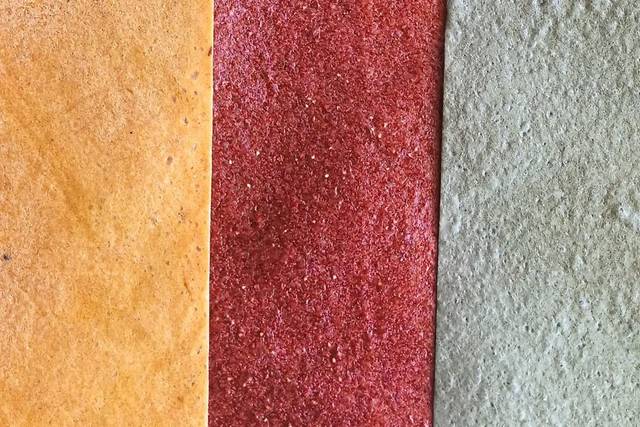 Paleta de cores de fruta desidratada