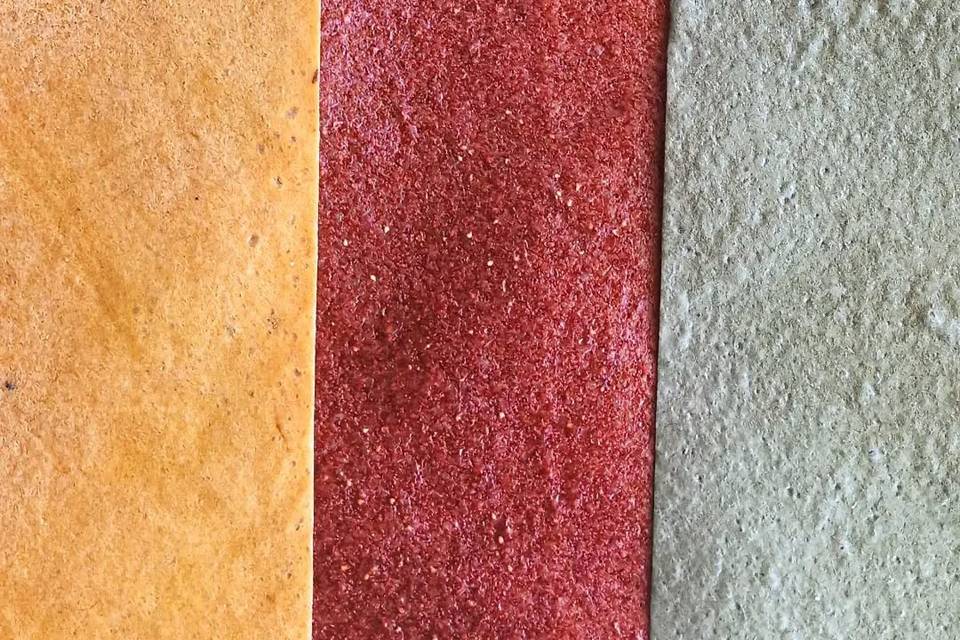 Paleta de cores de fruta desidratada