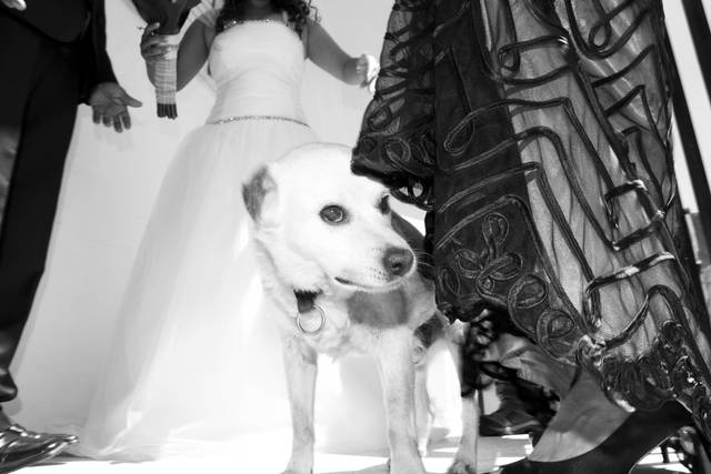 Ninguém faltou ao casamento
