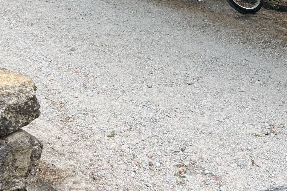 Moto Guzzi vs Intruder