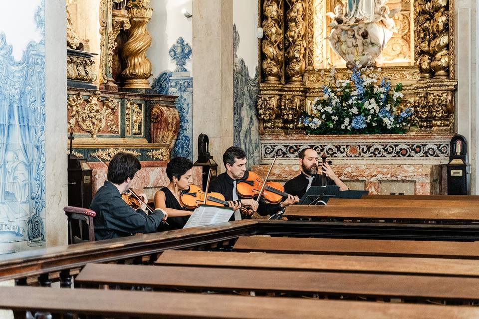 String Quartet Solutions