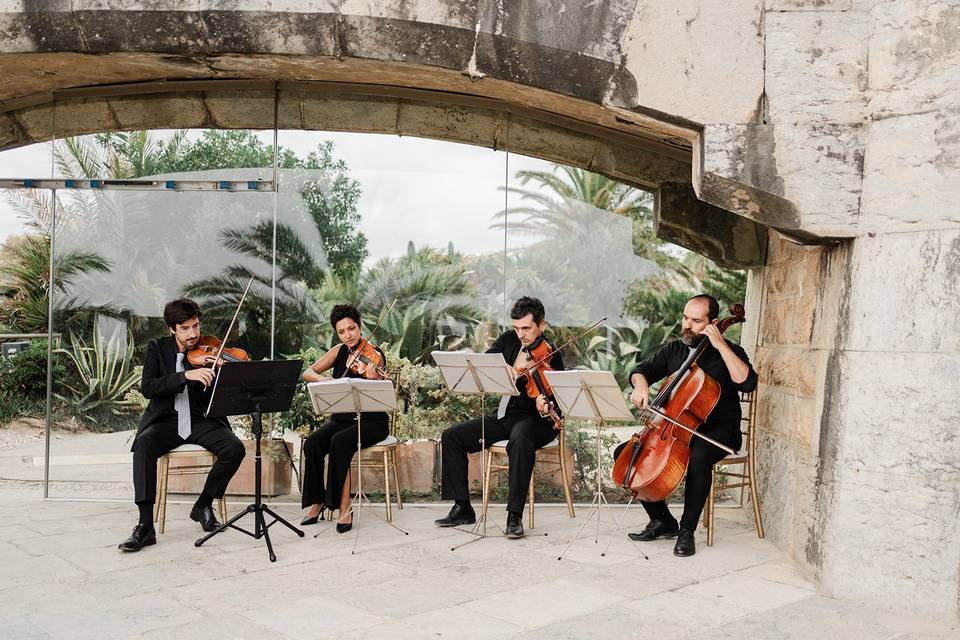 String Quartet Solutions