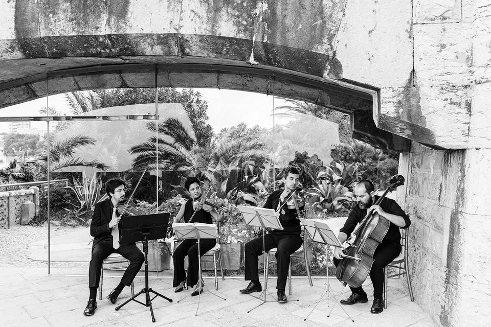 String Quartet Solutions