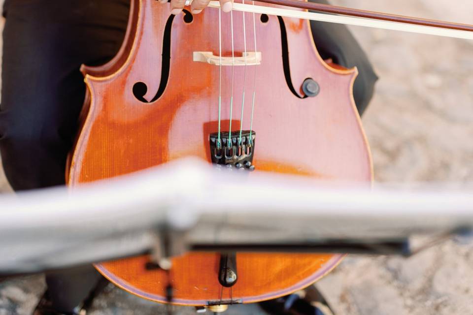 String Quartet Solutions