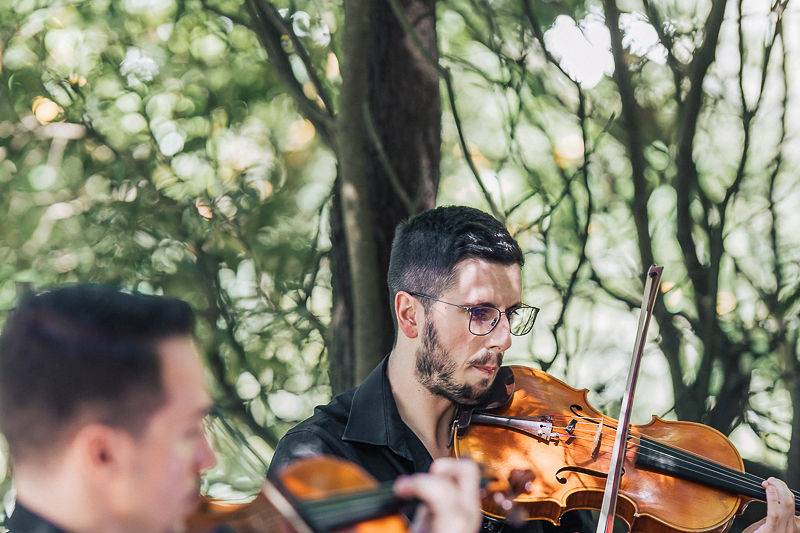 String Quartet Solutions