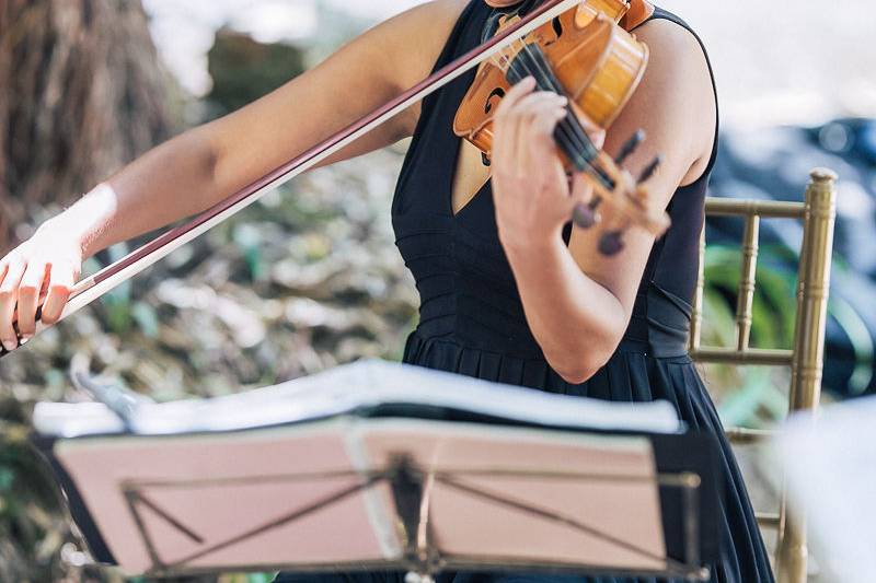 String Quartet Solutions