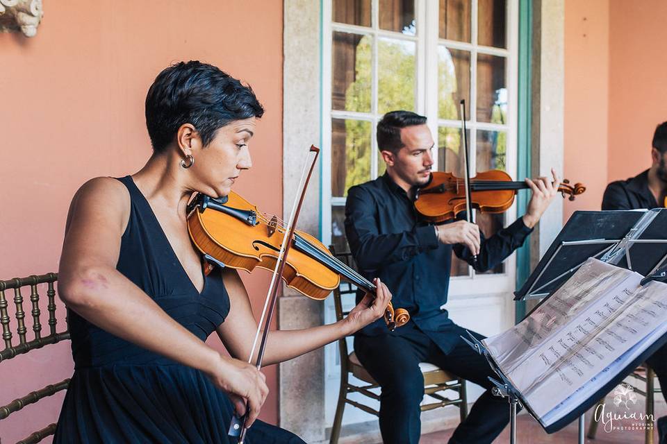 String Quartet Solutions