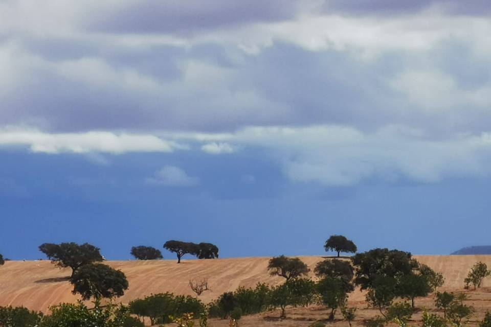 Céu infinito